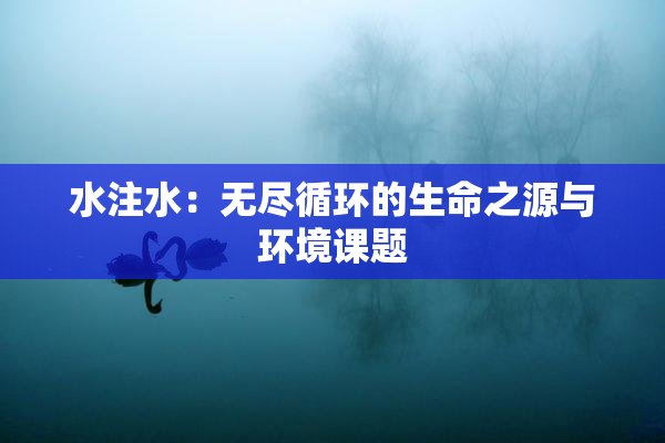 水注水：无尽循环的生命之源与环境课题