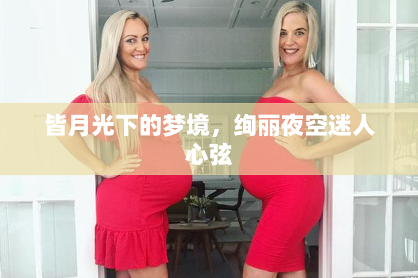 皆月光下的梦境，绚丽夜空迷人心弦