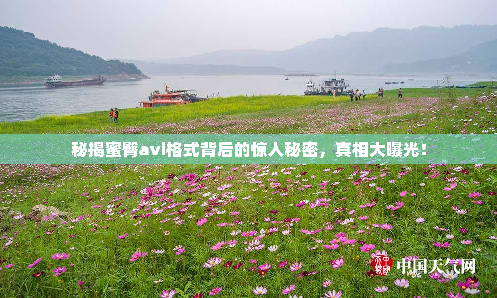 秘揭蜜臀avi格式背后的惊人秘密，真相大曝光！