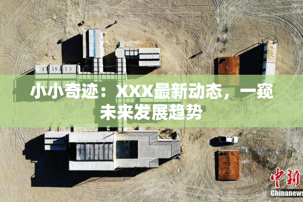 小小奇迹：XXX最新动态，一窥未来发展趋势