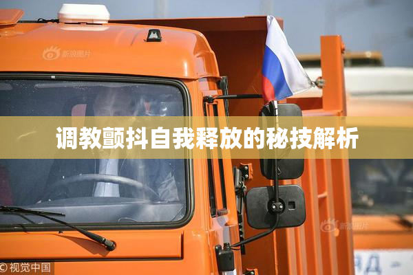 调教颤抖自我释放的秘技解析