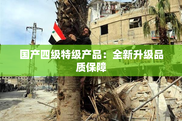 国产四级特级产品：全新升级品质保障