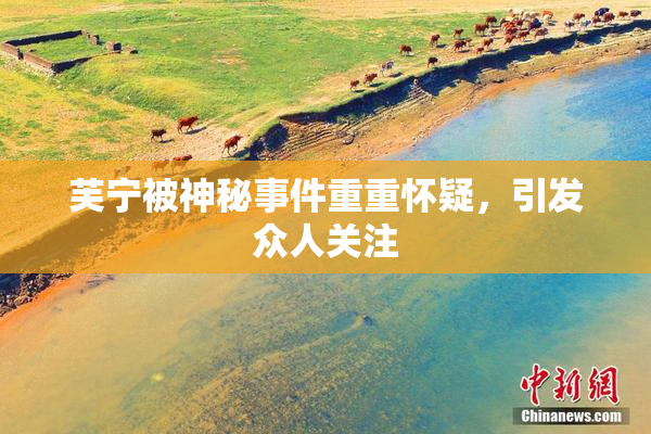 芙宁被神秘事件重重怀疑，引发众人关注
