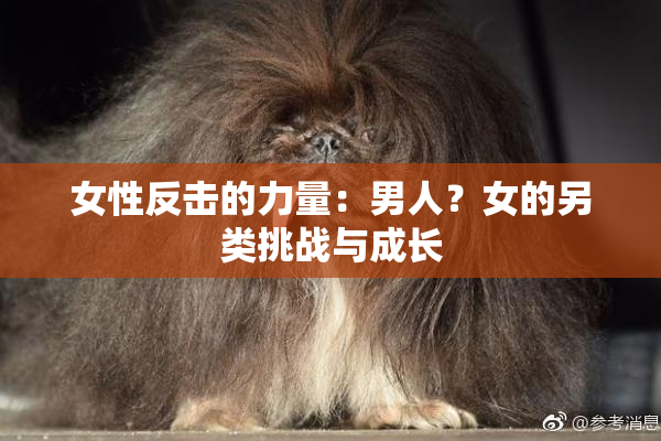 女性反击的力量：男人？女的另类挑战与成长