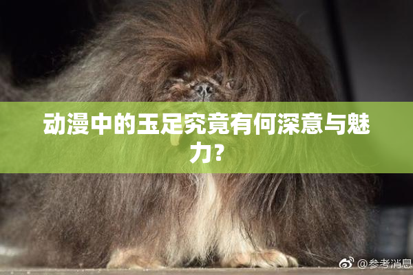 动漫中的玉足究竟有何深意与魅力？