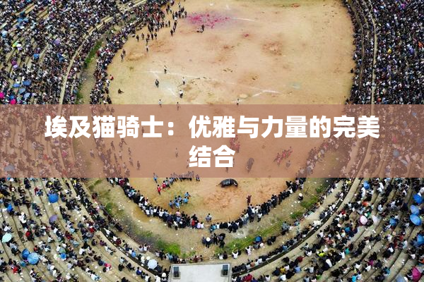 埃及猫骑士：优雅与力量的完美结合
