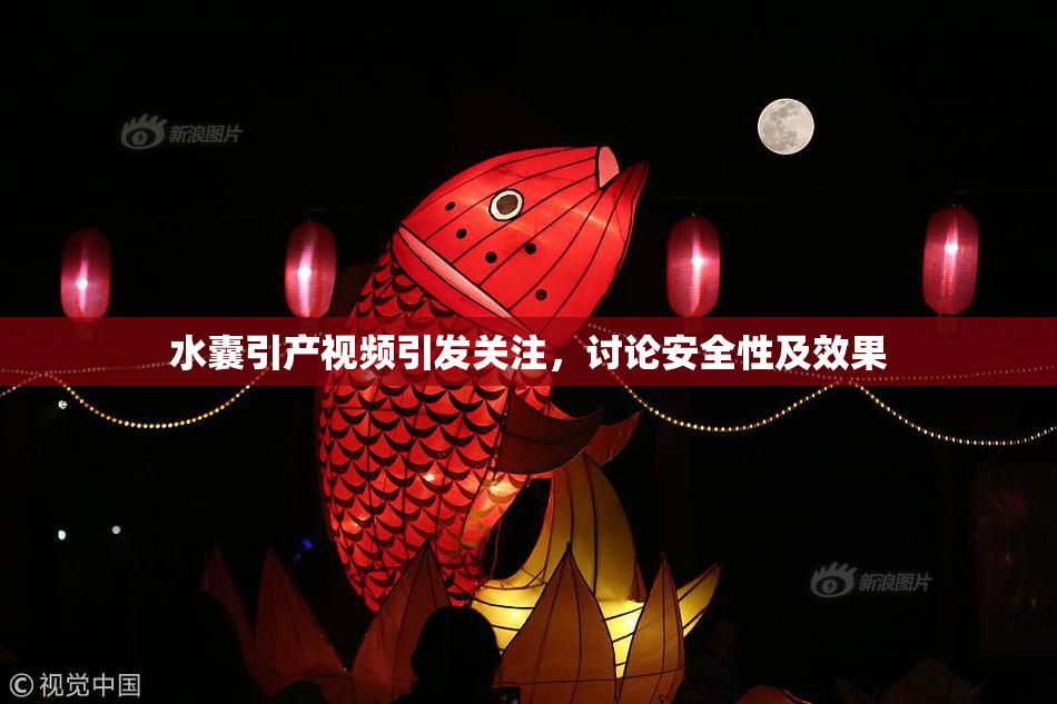 水囊引产视频引发关注，讨论安全性及效果