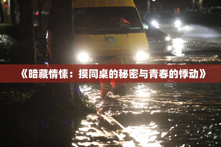 《暗藏情愫：摸同桌的秘密与青春的悸动》