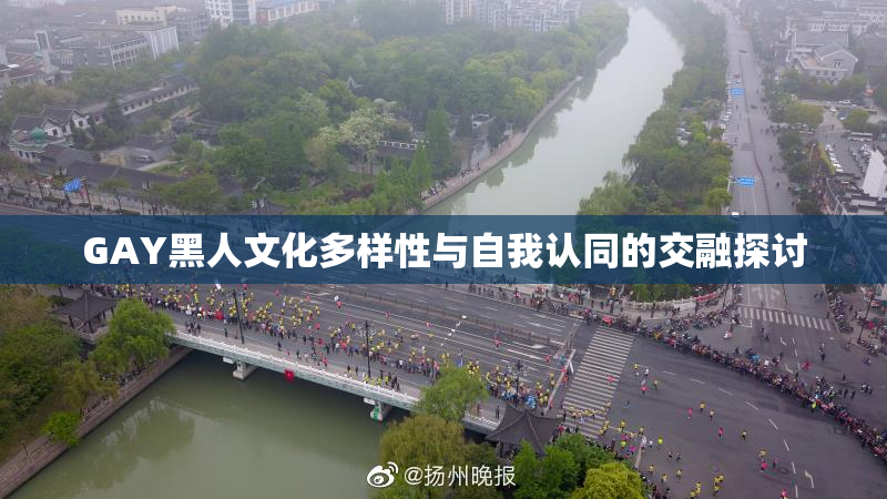 GAY黑人文化多样性与自我认同的交融探讨