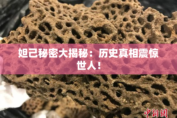 妲己秘密大揭秘：历史真相震惊世人！