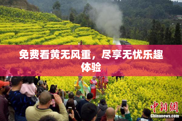 免费看黄无风重，尽享无忧乐趣体验