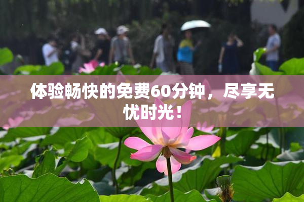 体验畅快的免费60分钟，尽享无忧时光！