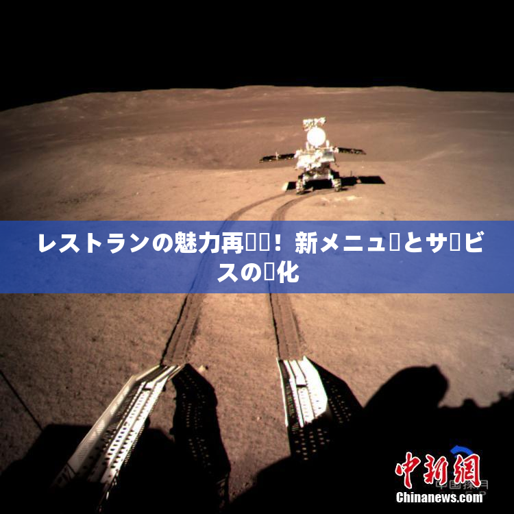 レストランの魅力再発見！新メニューとサービスの進化