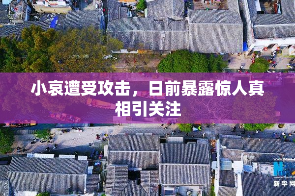 小哀遭受攻击，日前暴露惊人真相引关注