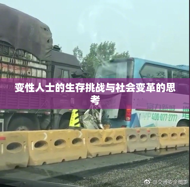 变性人士的生存挑战与社会变革的思考