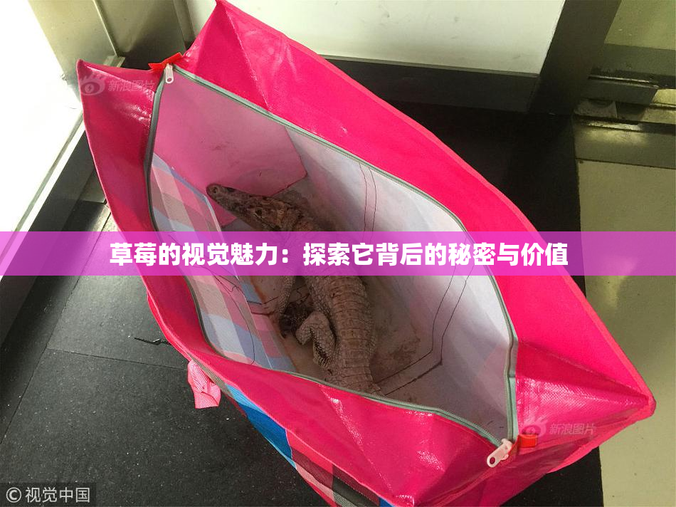 草莓的视觉魅力：探索它背后的秘密与价值