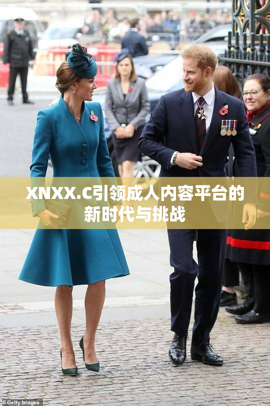 XNXX.C引领成人内容平台的新时代与挑战