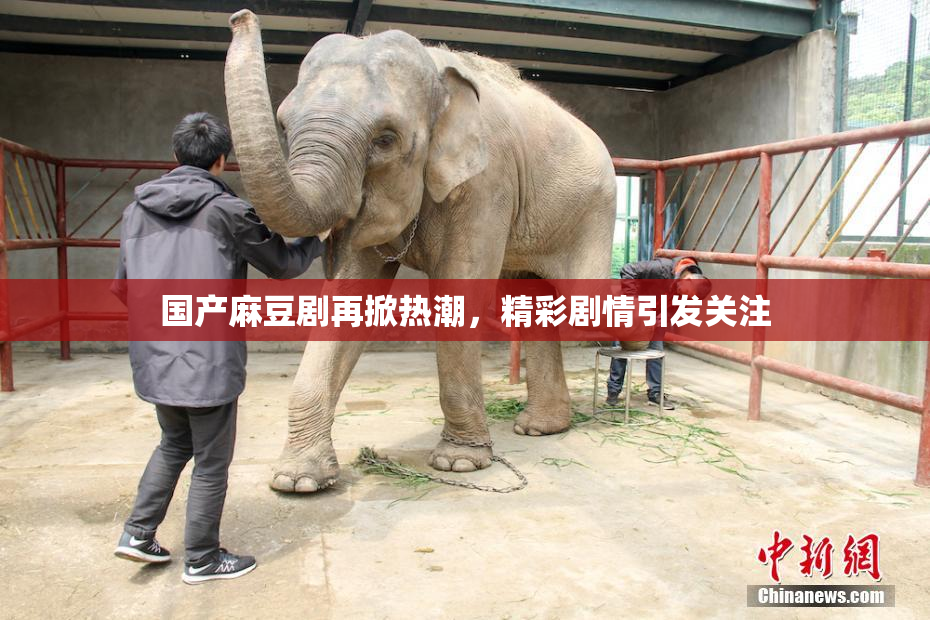 国产麻豆剧再掀热潮，精彩剧情引发关注