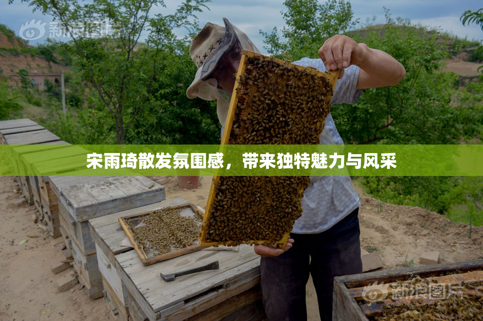 宋雨琦散发氛围感，带来独特魅力与风采