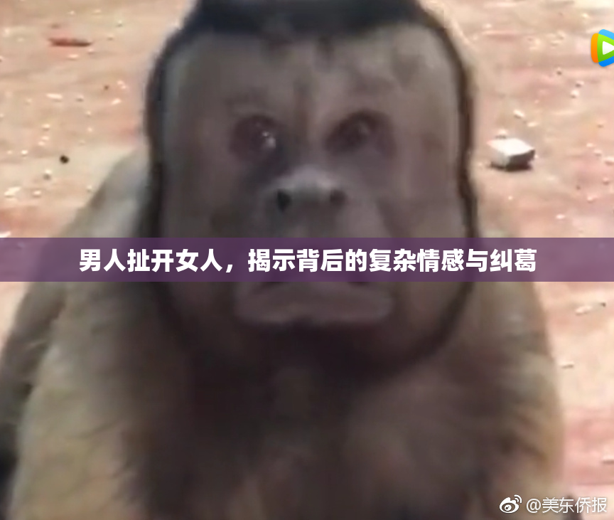 男人扯开女人，揭示背后的复杂情感与纠葛