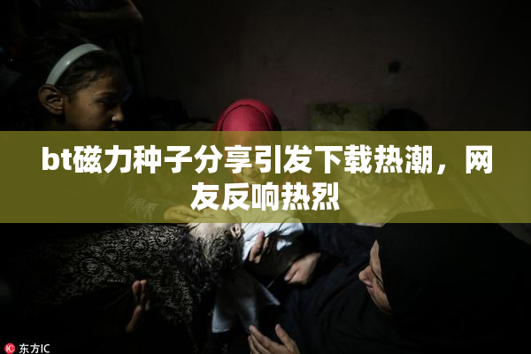 bt磁力种子分享引发下载热潮，网友反响热烈