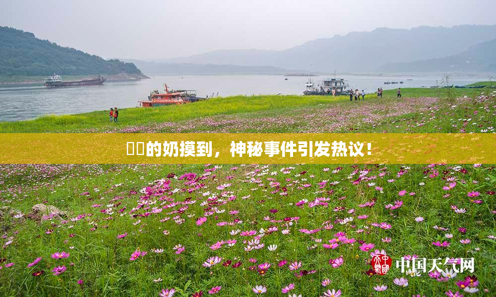 妺妺的奶摸到，神秘事件引发热议！