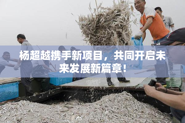 杨超越携手新项目，共同开启未来发展新篇章！