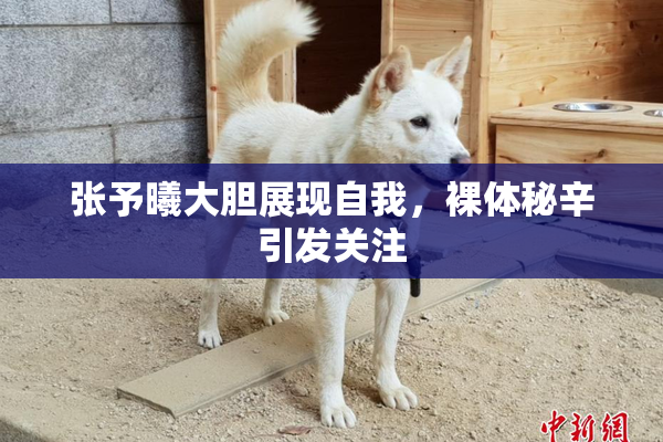 张予曦大胆展现自我，裸体秘辛引发关注