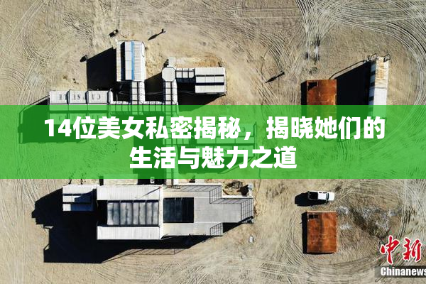 14位美女私密揭秘，揭晓她们的生活与魅力之道