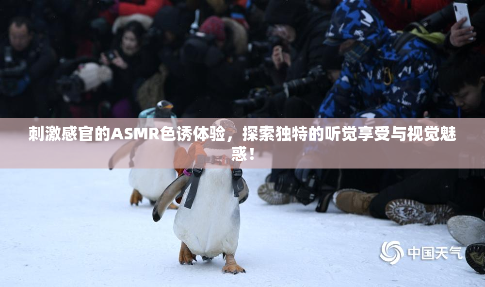 刺激感官的ASMR色诱体验，探索独特的听觉享受与视觉魅惑！