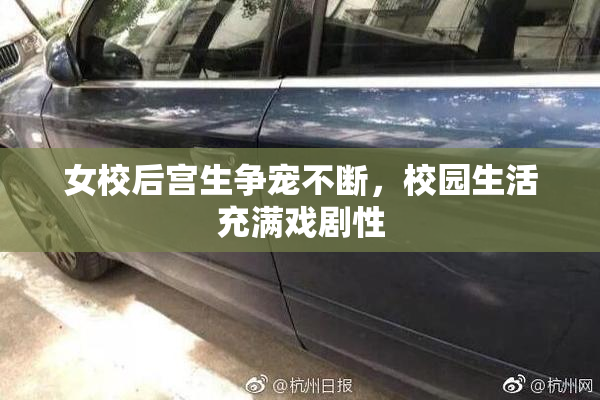 女校后宫生争宠不断，校园生活充满戏剧性