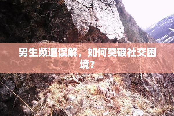 男生频遭误解，如何突破社交困境？