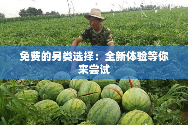 免费的另类选择：全新体验等你来尝试
