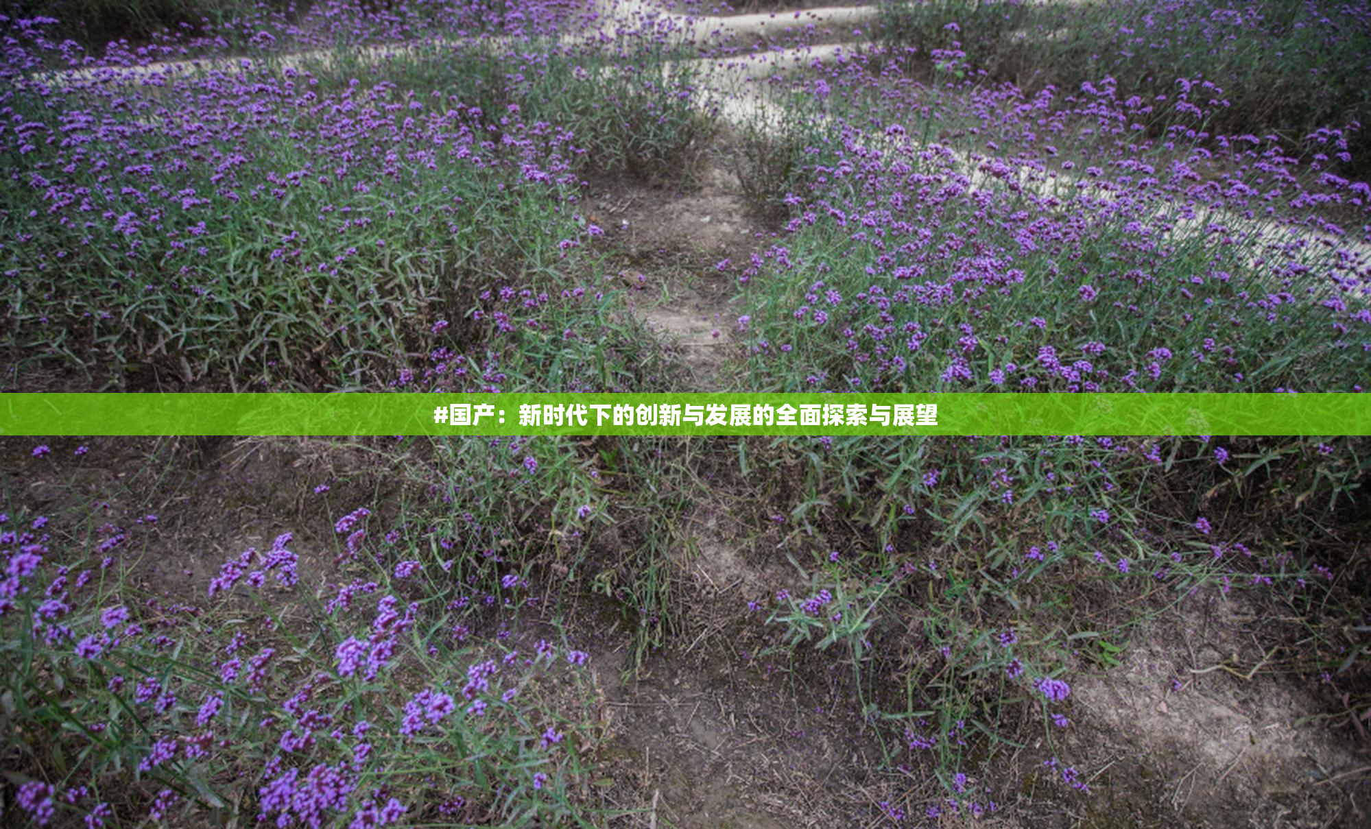 #国产：新时代下的创新与发展的全面探索与展望