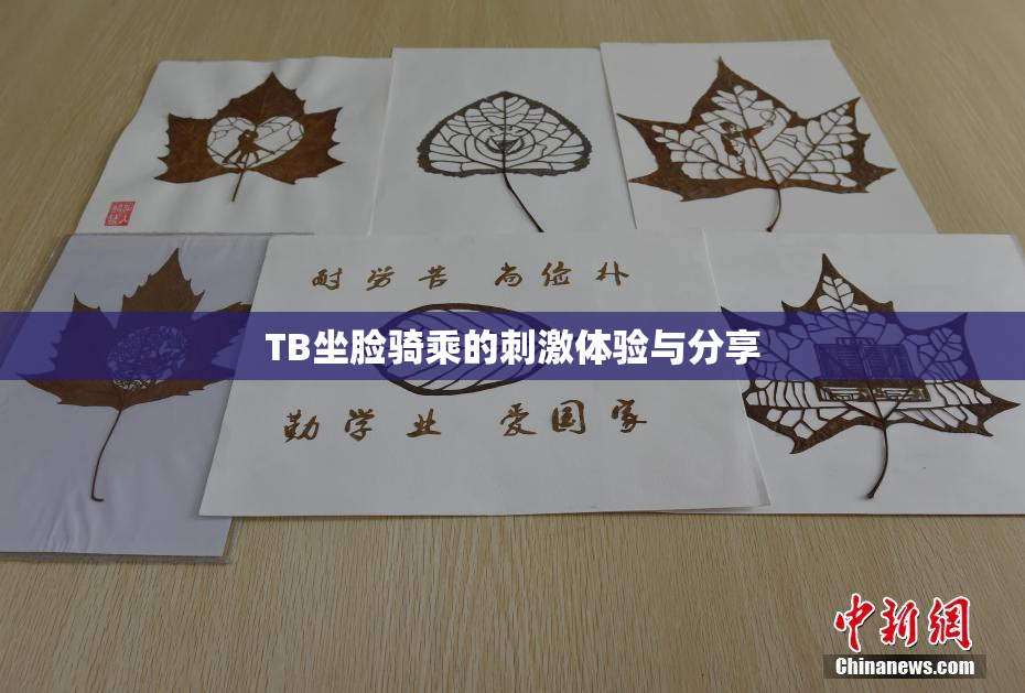 TB坐脸骑乘的刺激体验与分享