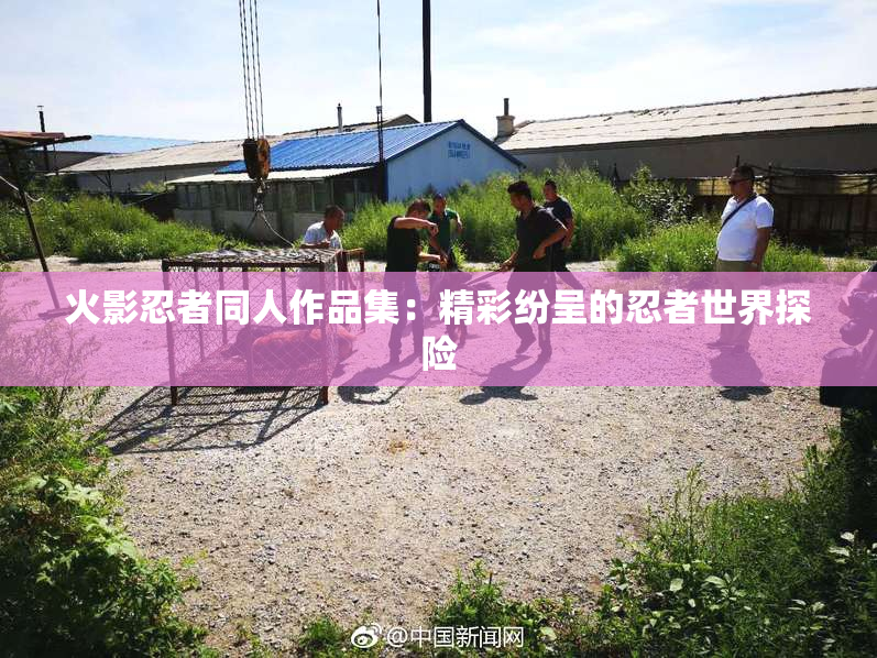 火影忍者同人作品集：精彩纷呈的忍者世界探险