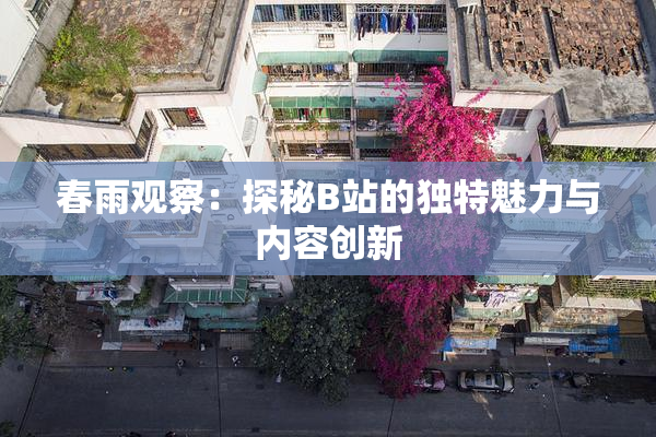 春雨观察：探秘B站的独特魅力与内容创新