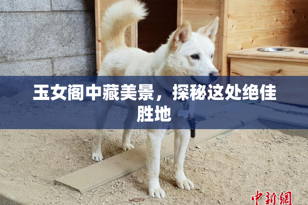 玉女阁中藏美景，探秘这处绝佳胜地