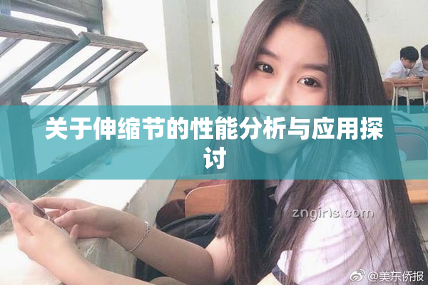 关于伸缩节的性能分析与应用探讨