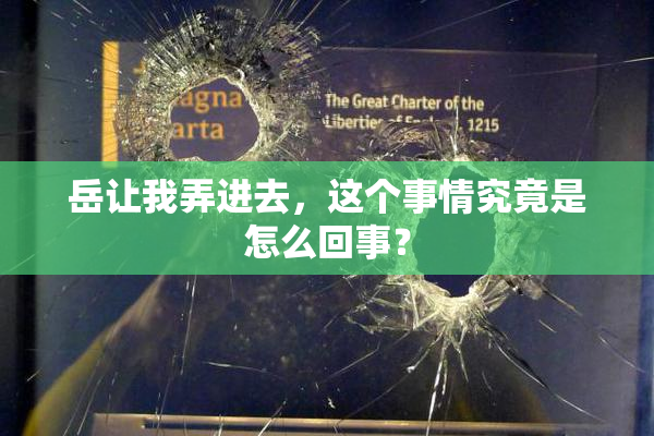岳让我弄进去，这个事情究竟是怎么回事？