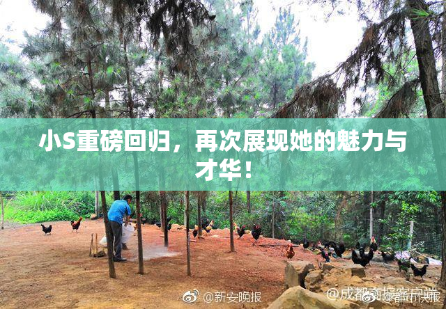 小S重磅回归，再次展现她的魅力与才华！
