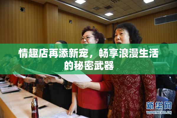 情趣店再添新宠，畅享浪漫生活的秘密武器