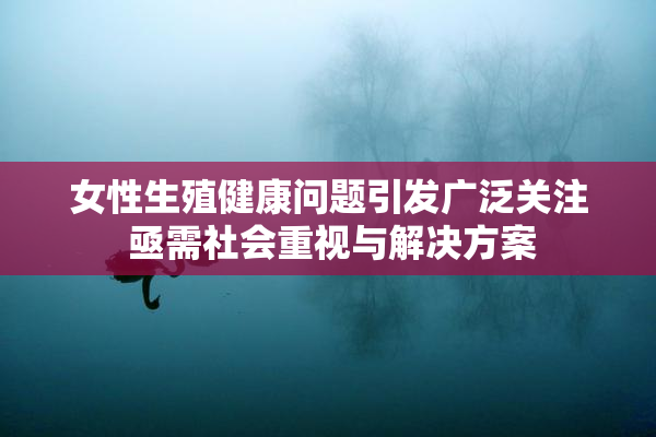 女性生殖健康问题引发广泛关注 亟需社会重视与解决方案