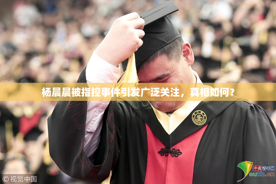 杨晨晨被指控事件引发广泛关注，真相如何？