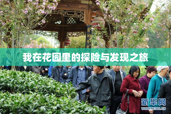 我在花园里的探险与发现之旅