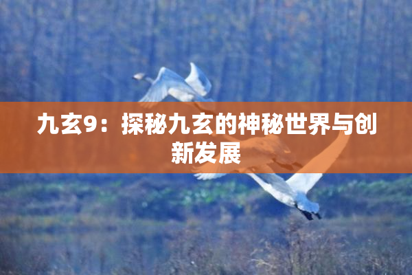 九玄9：探秘九玄的神秘世界与创新发展