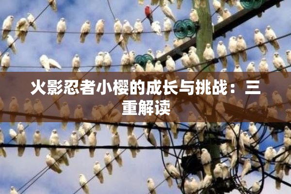 火影忍者小樱的成长与挑战：三重解读
