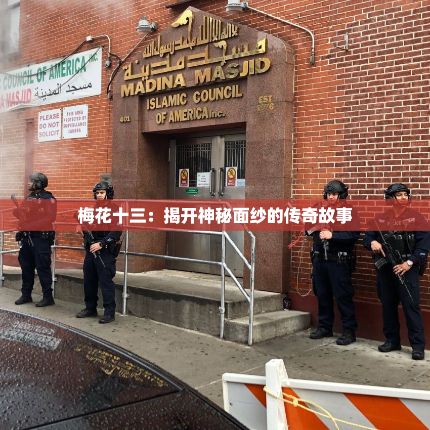 梅花十三：揭开神秘面纱的传奇故事