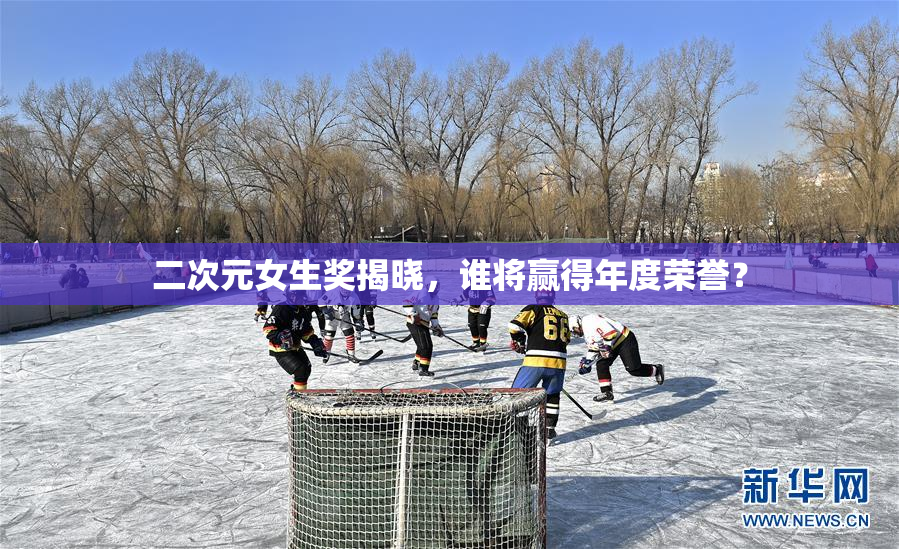 二次元女生奖揭晓，谁将赢得年度荣誉？