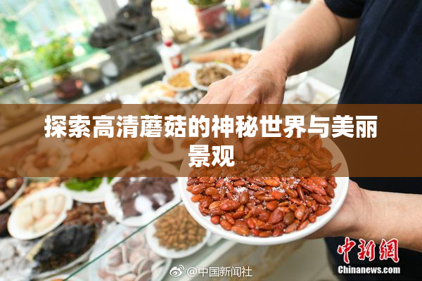 探索高清蘑菇的神秘世界与美丽景观
